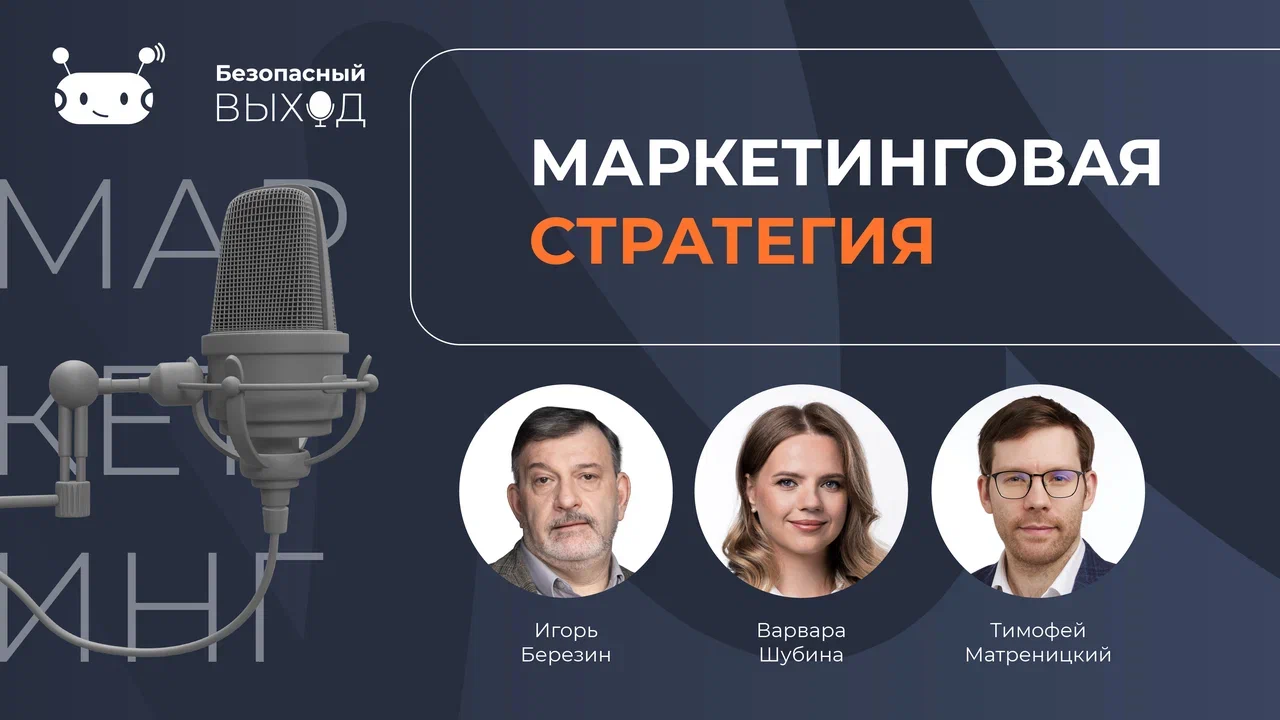 Президент Гильдии Маркетологов Игорь Березин обсуждает «Маркетинговую стратегию» в подкасте с Варварой Шубиной 